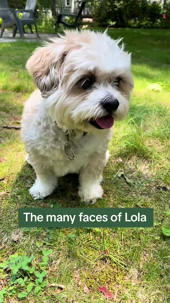 @LittleLuna.and.Lola
