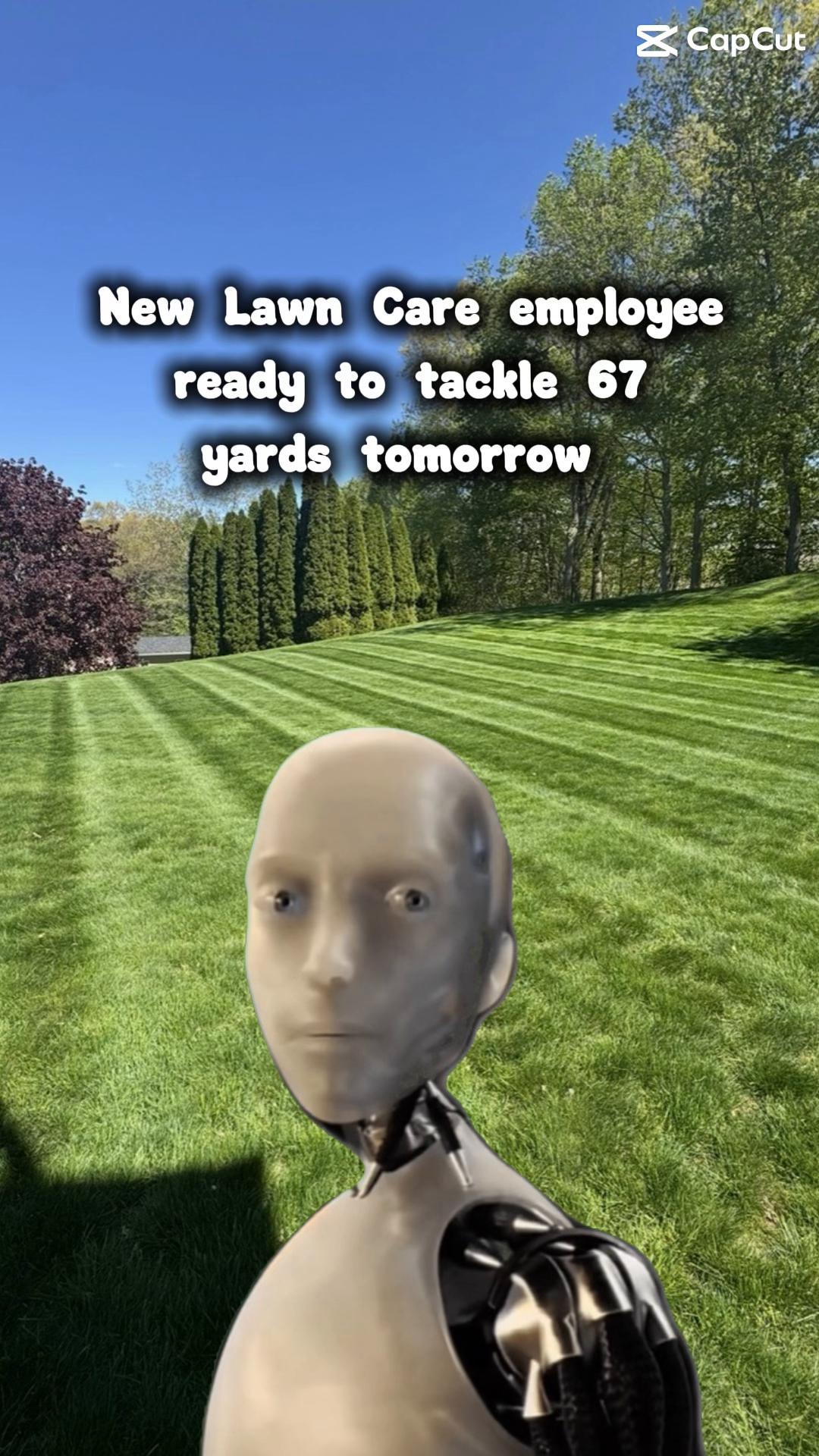 @Baileyboyslawn