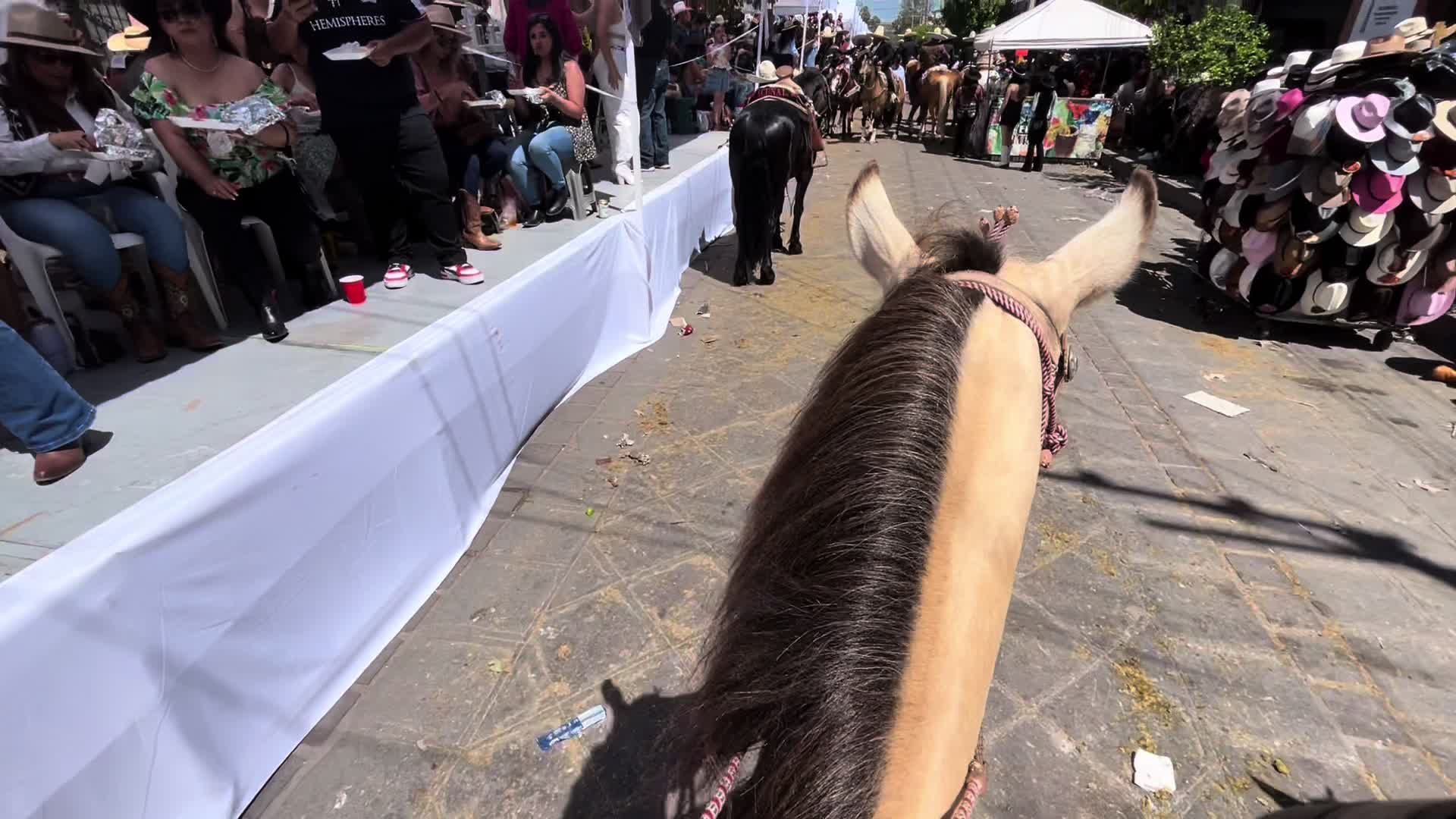 @YS SARABIA Y ALGO MÁS