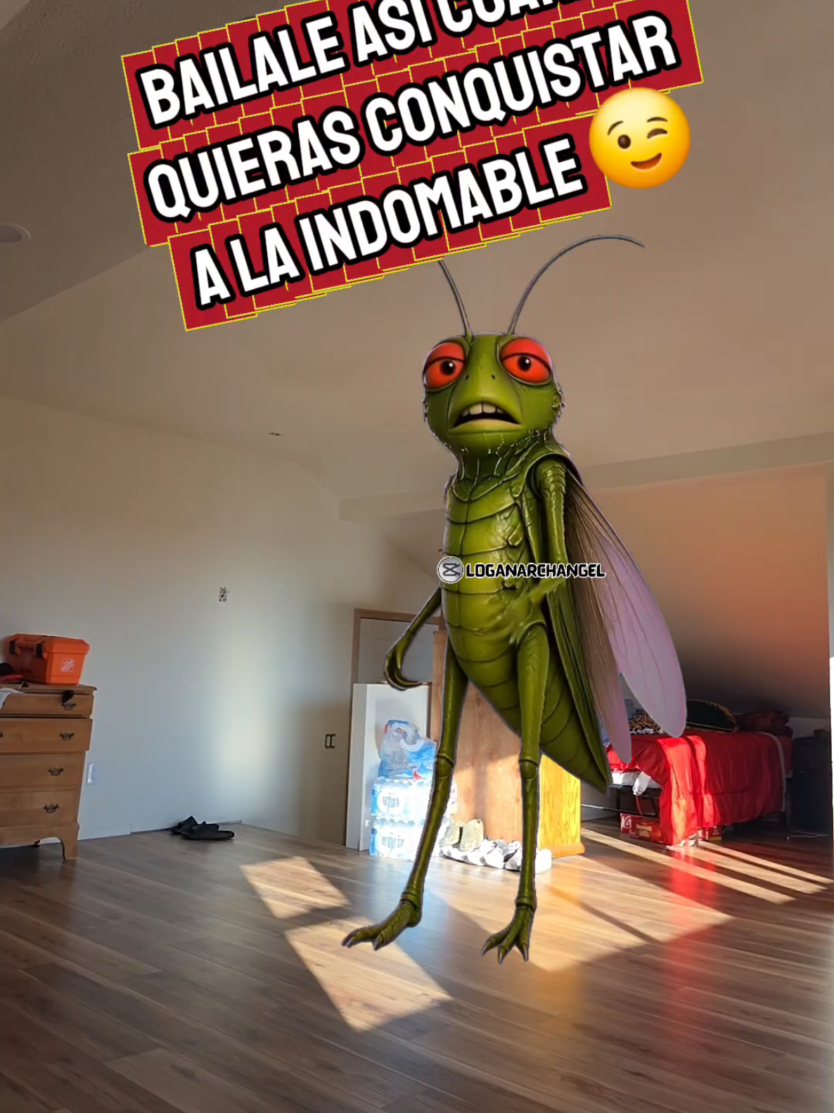 @Omar Vargas