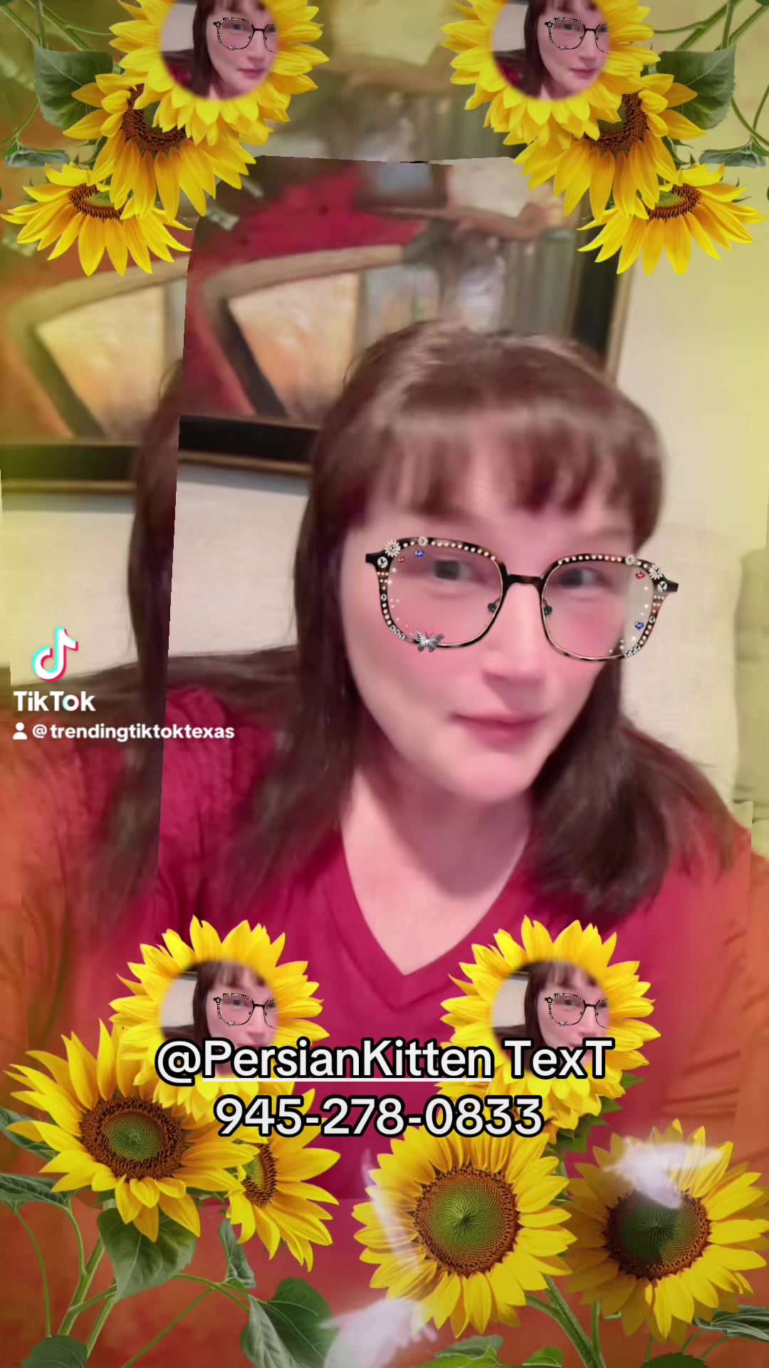 @PersianKitten