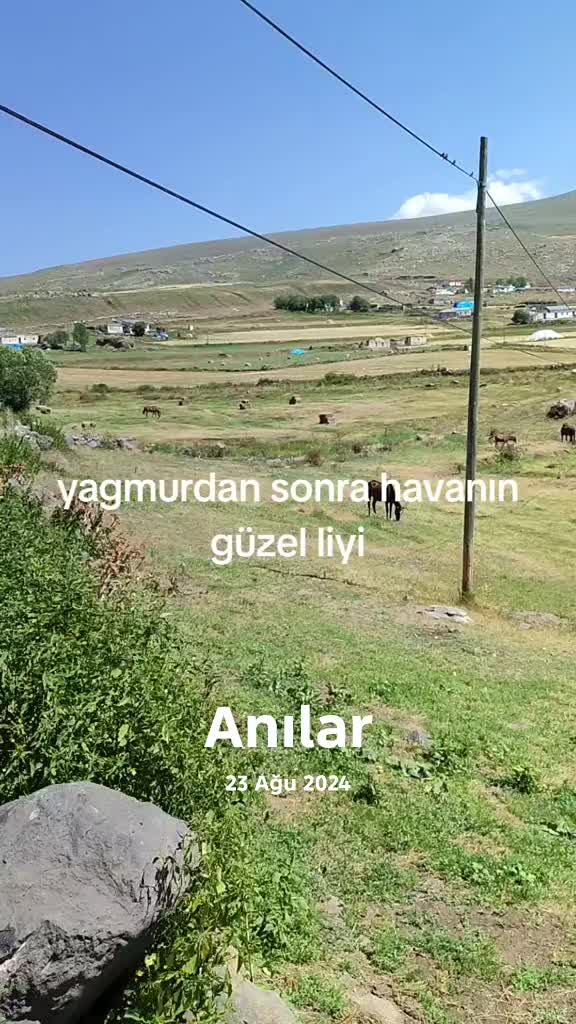 @Göksal Güneş