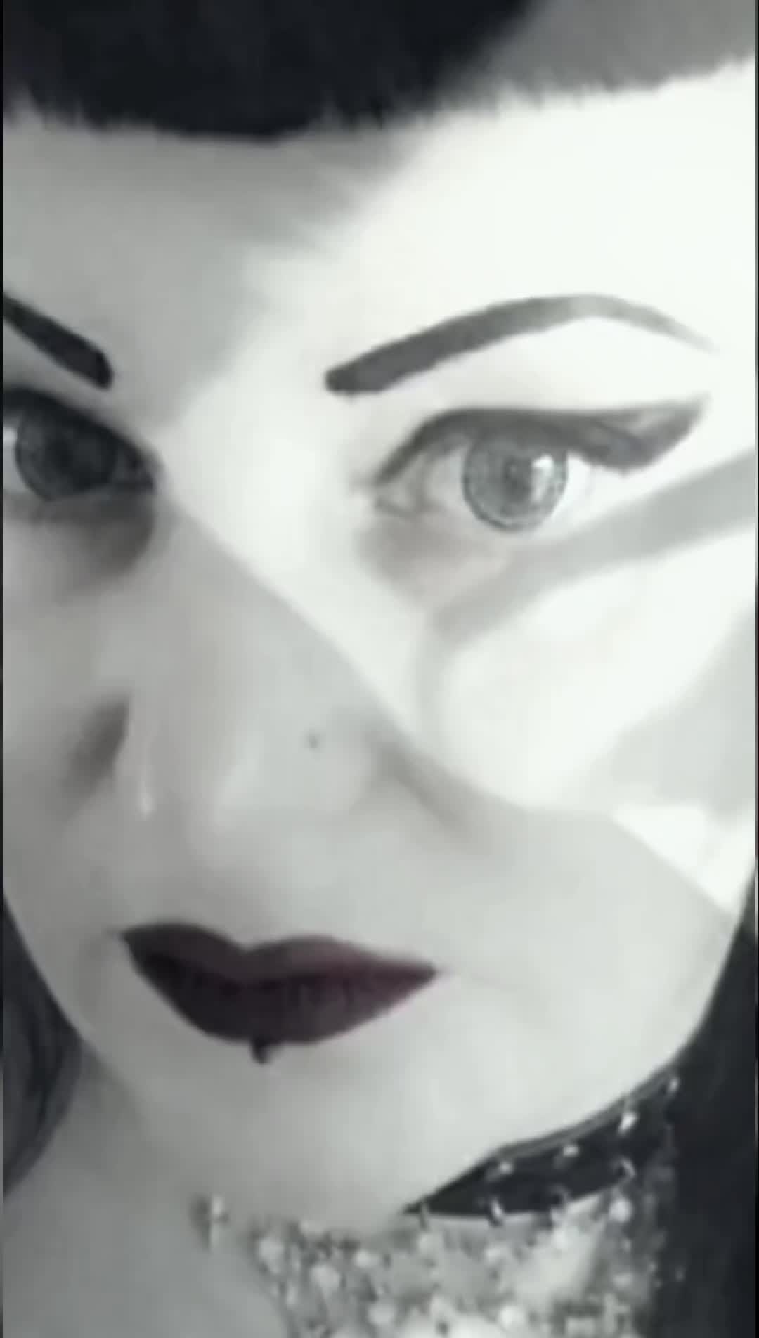 @🦇Abbey Von Stein🦇