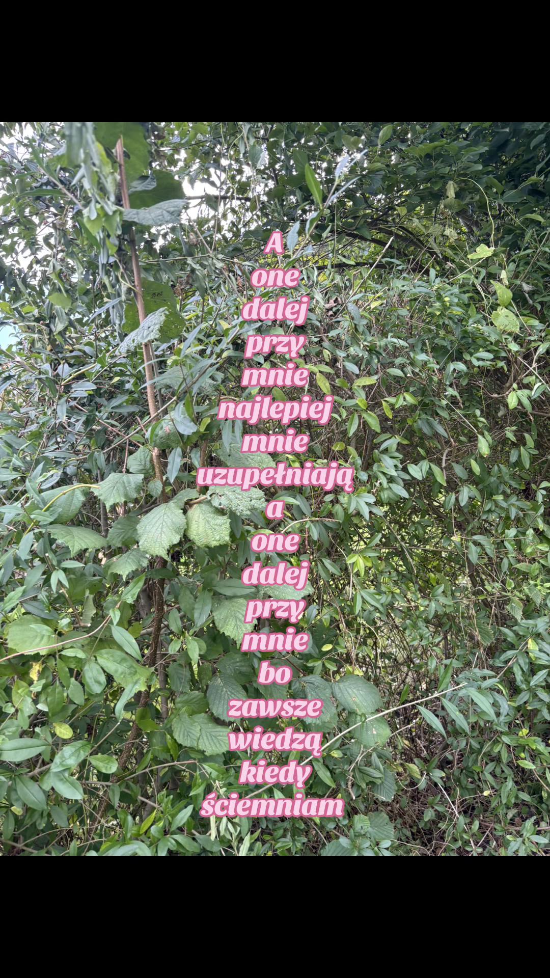 @⋆. 𐙚˚࿔ 4.Polciaꨄ 𝜗𝜚˚⋆