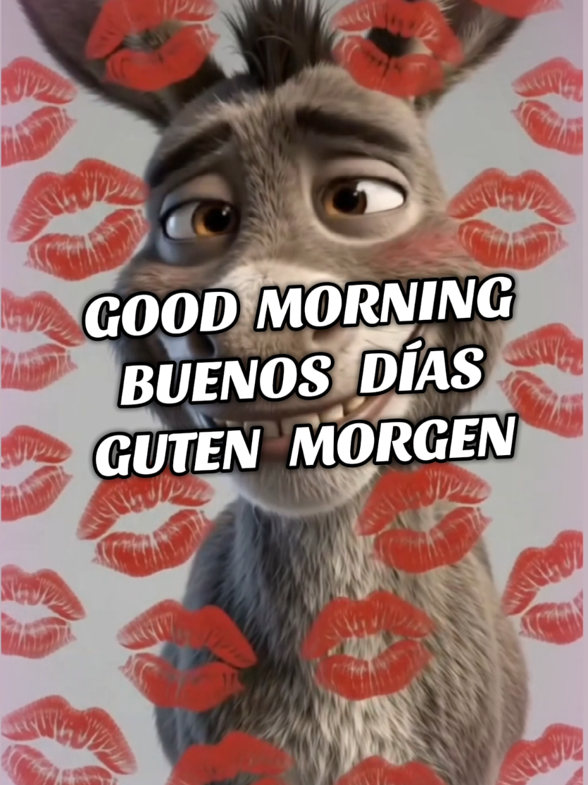@mylife