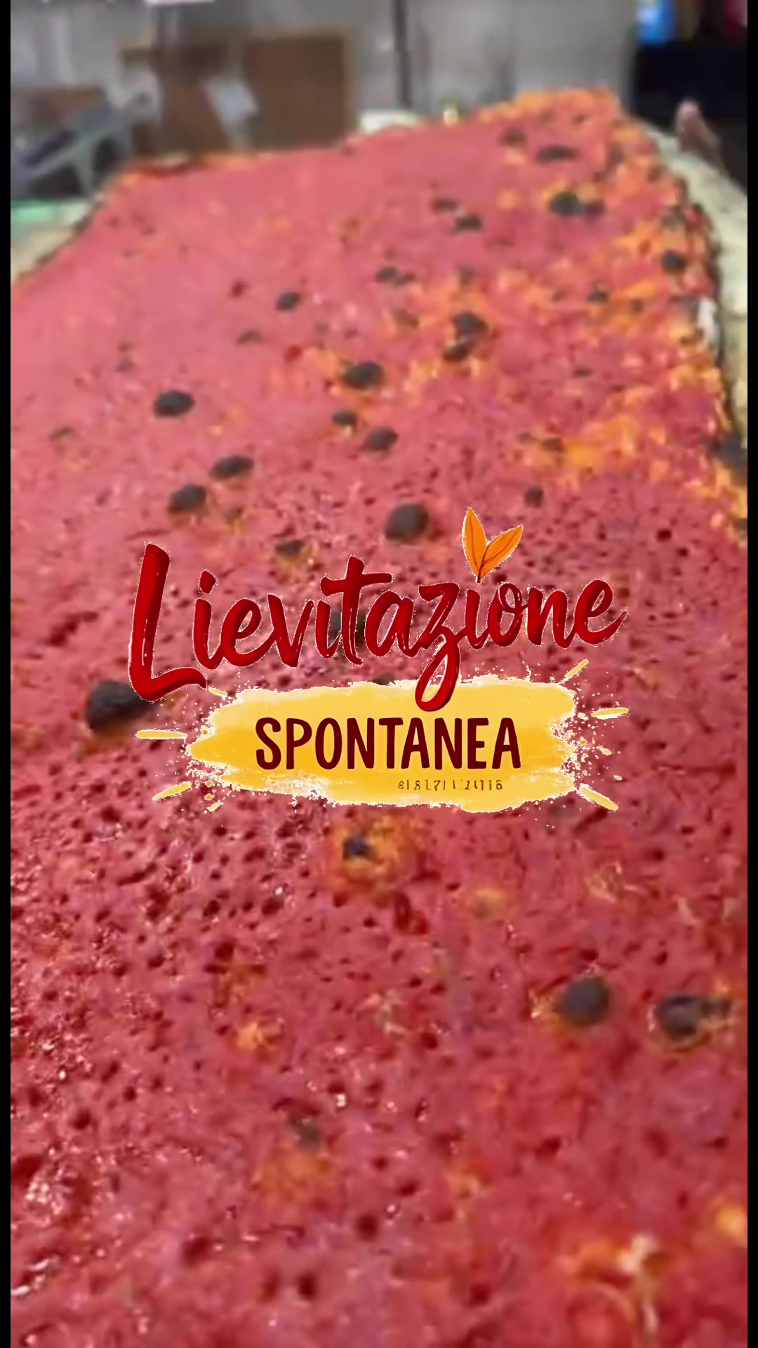 @ilfornopanificioepizzett