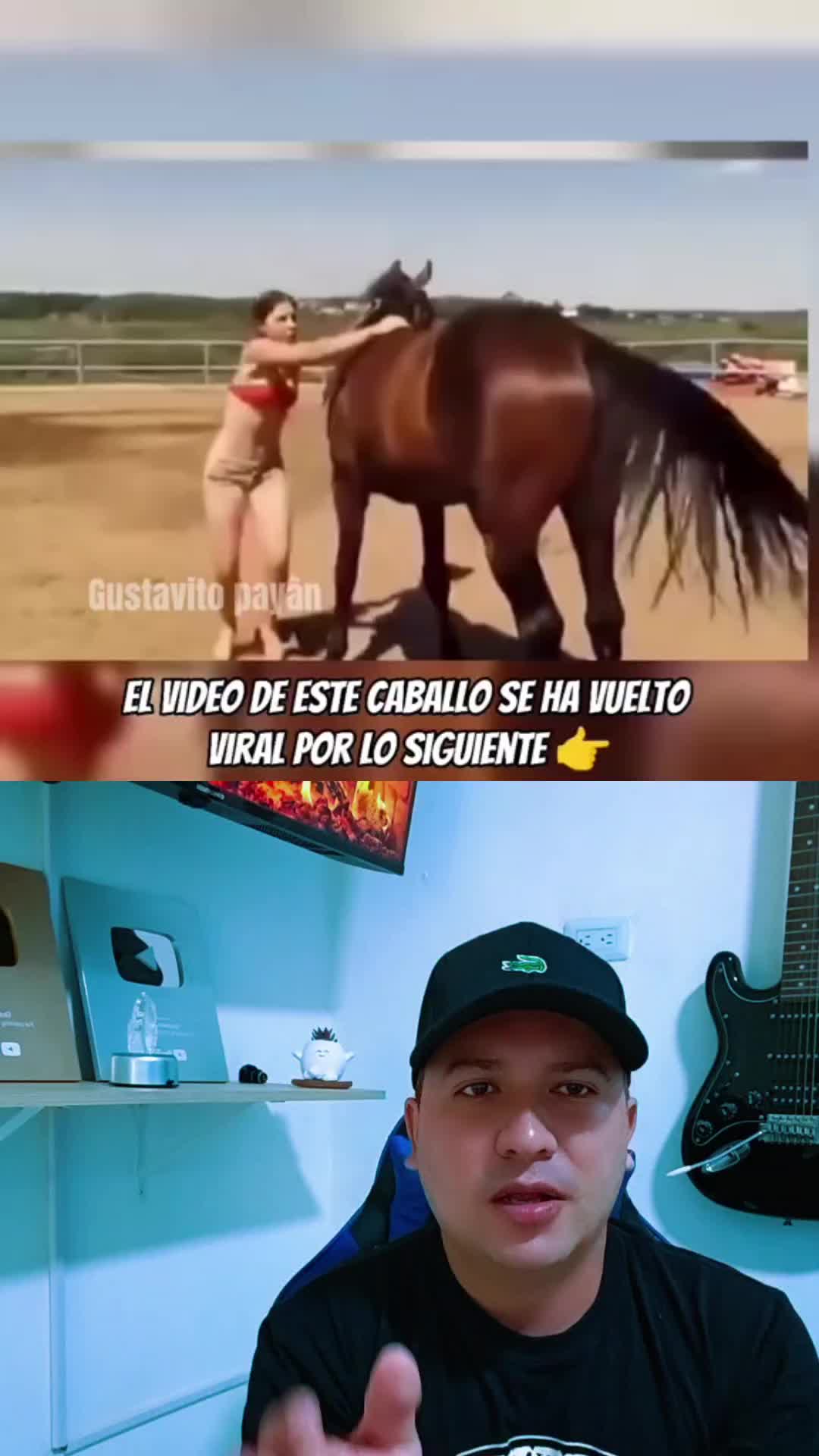@Gustavito payàn