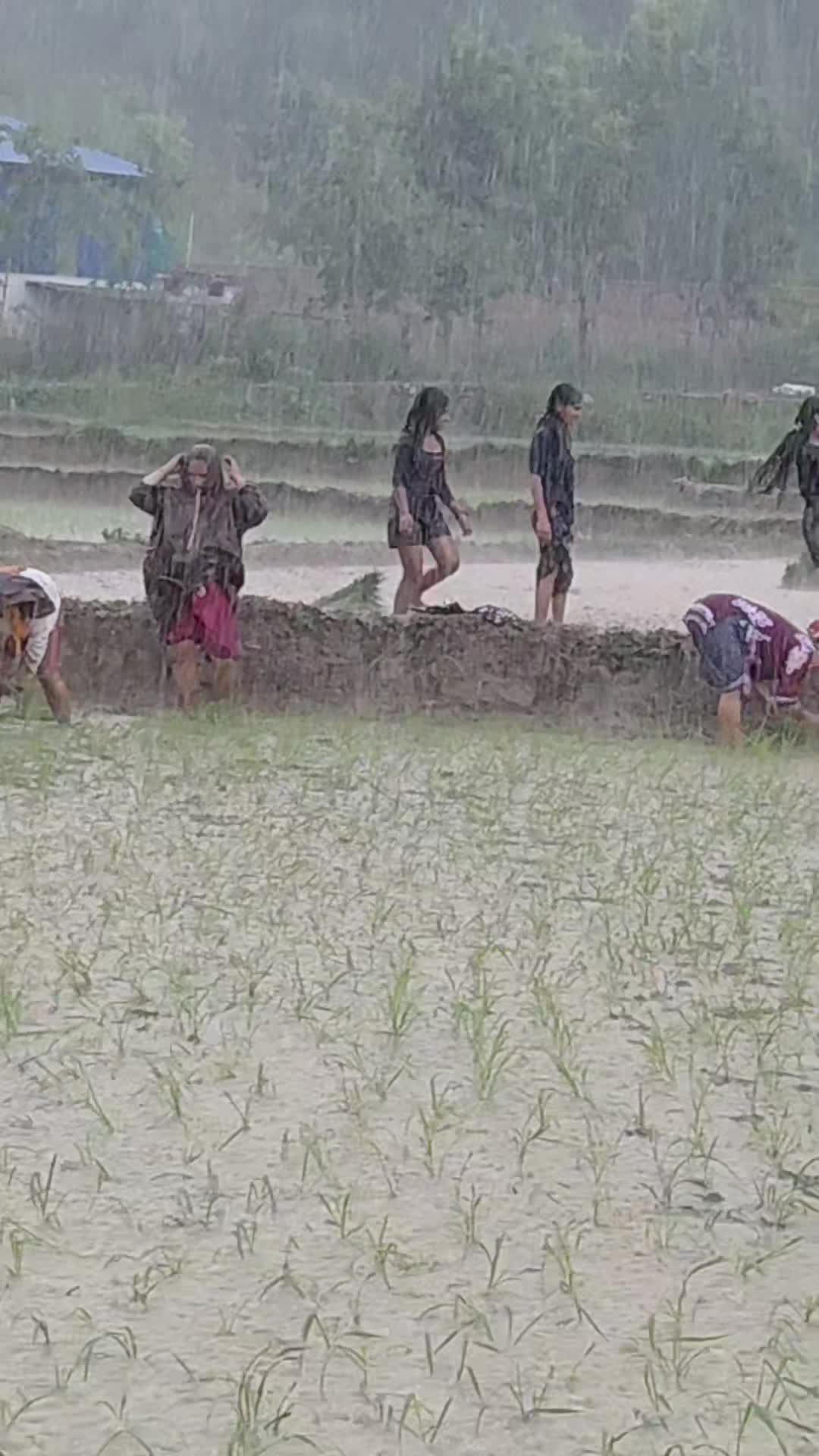 @रमेश बिरही...❤️✍️🇳🇵🇳🇵