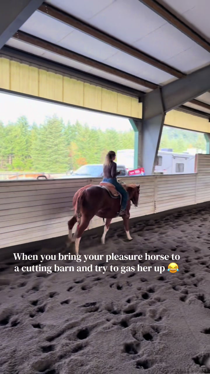 @Cait | Red Mare Owner