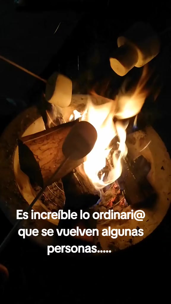 @Erickpqm