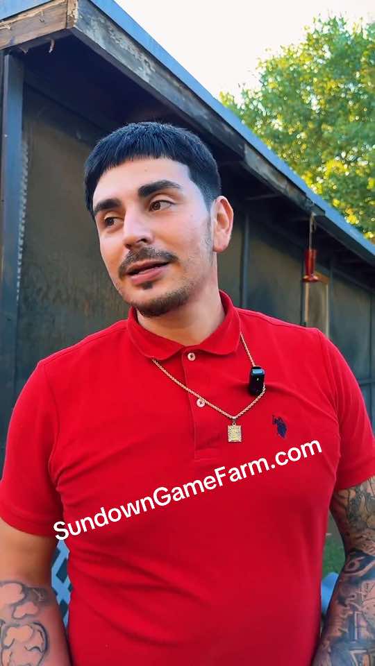 @Sundown Game Farm