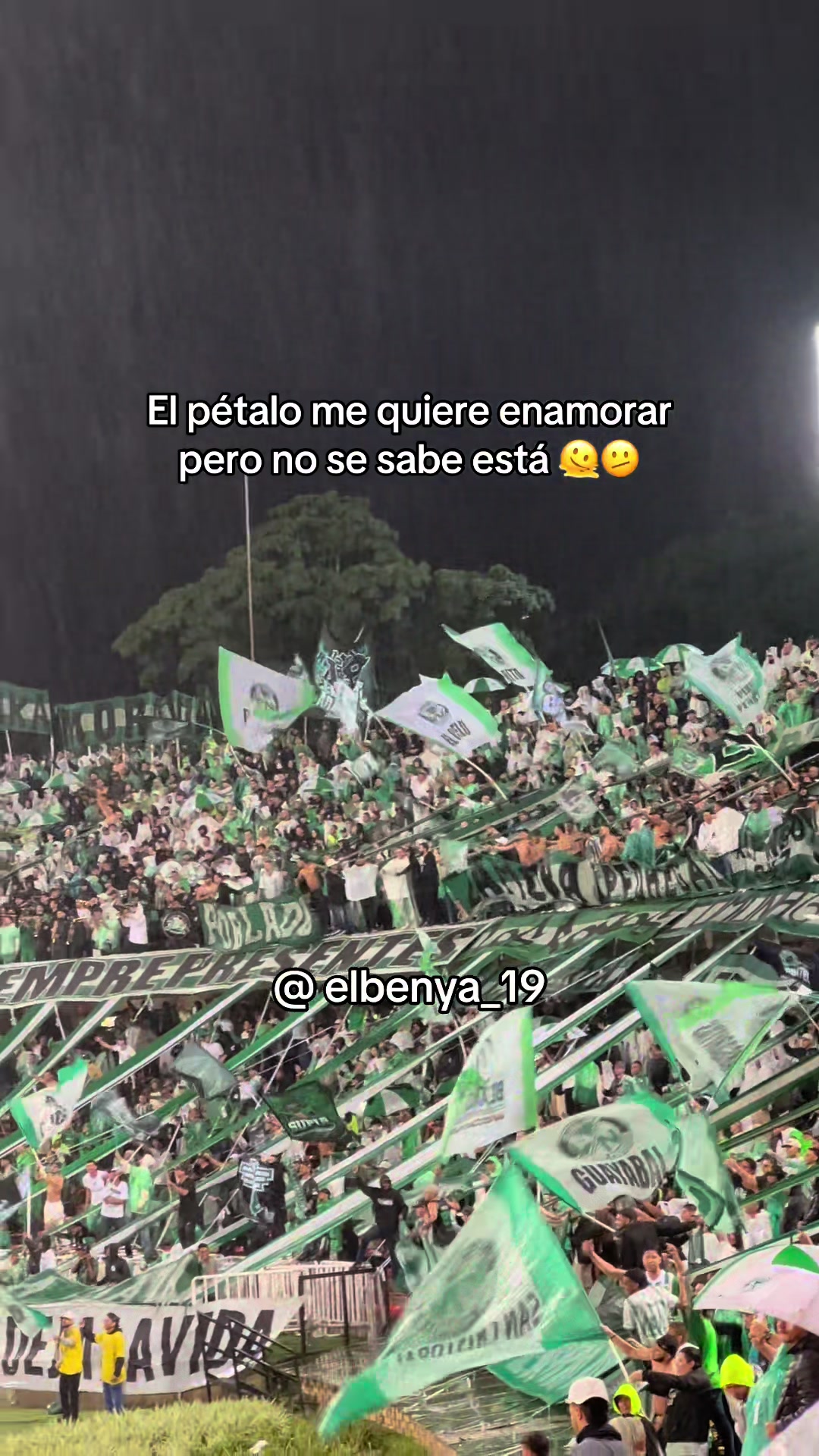 @El Benya Verdolaga🇳🇬