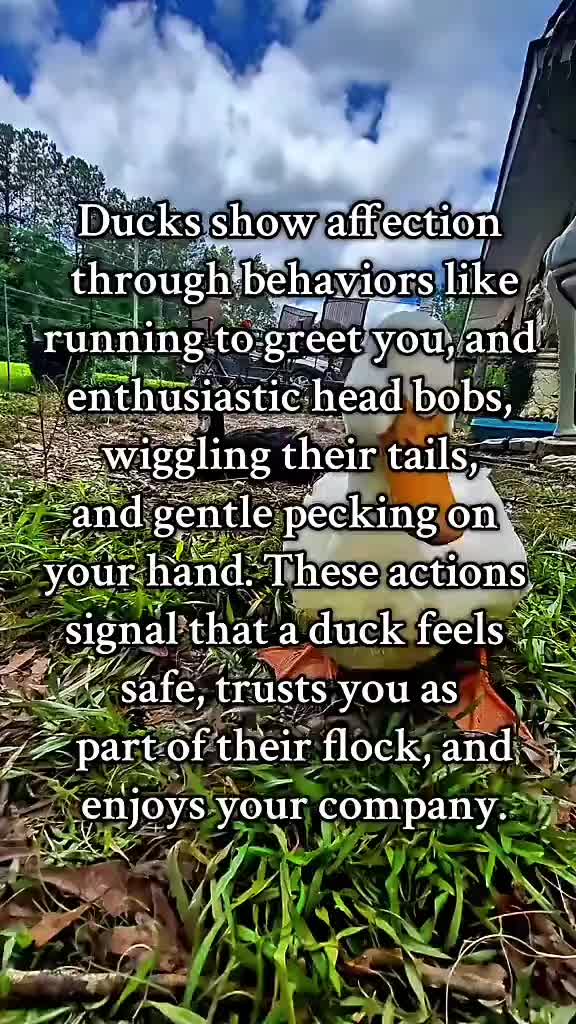 @Skeletonsonbeaverpond❌️🦆☠️