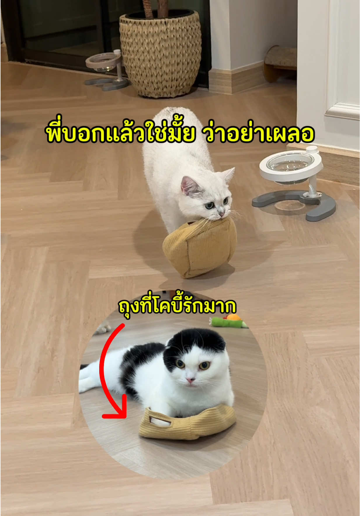 @คิมบับครับผม
