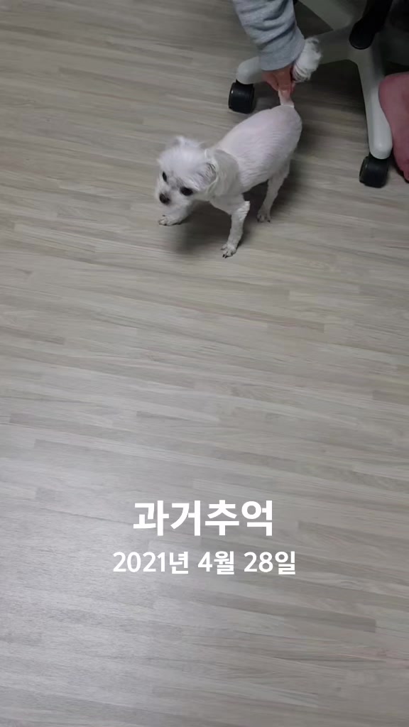 @초롱맘