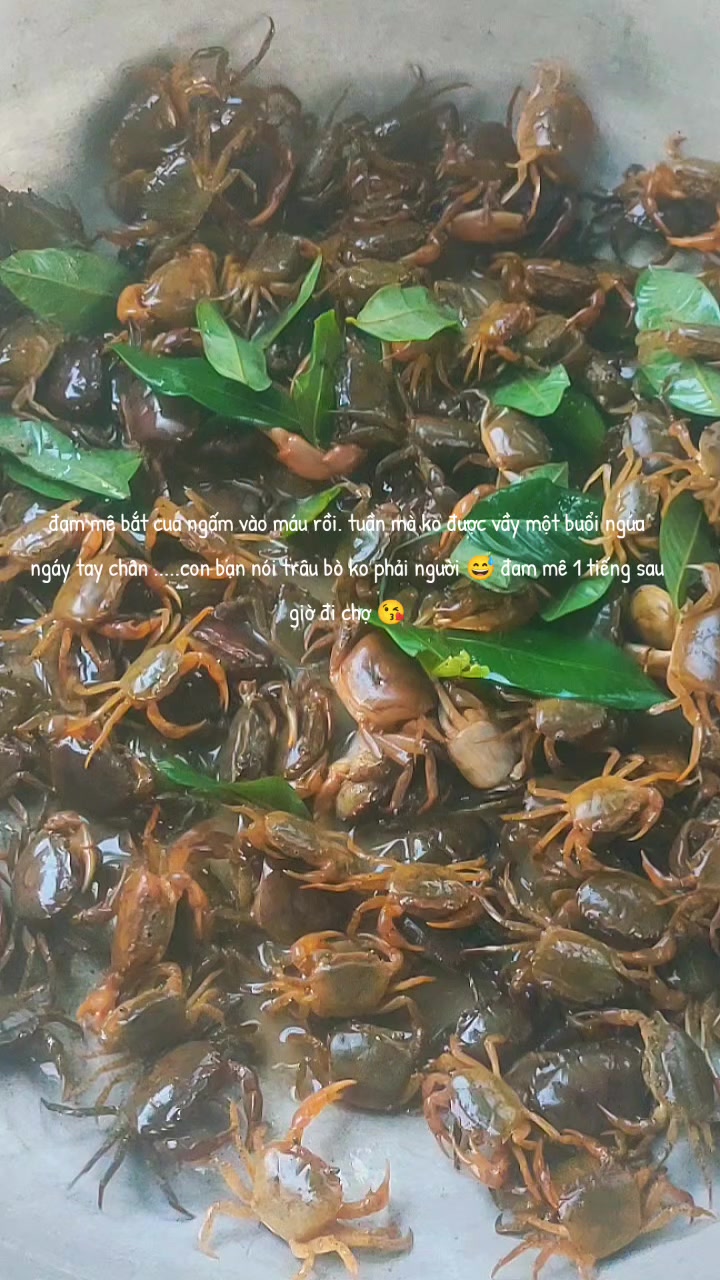 @Bầu trời nỗ lực 🌾