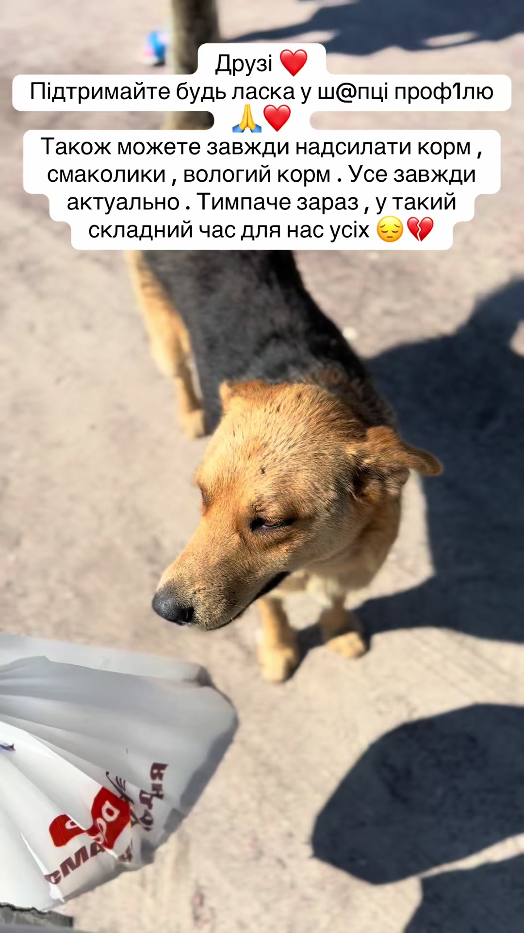 @tanya.help.animal