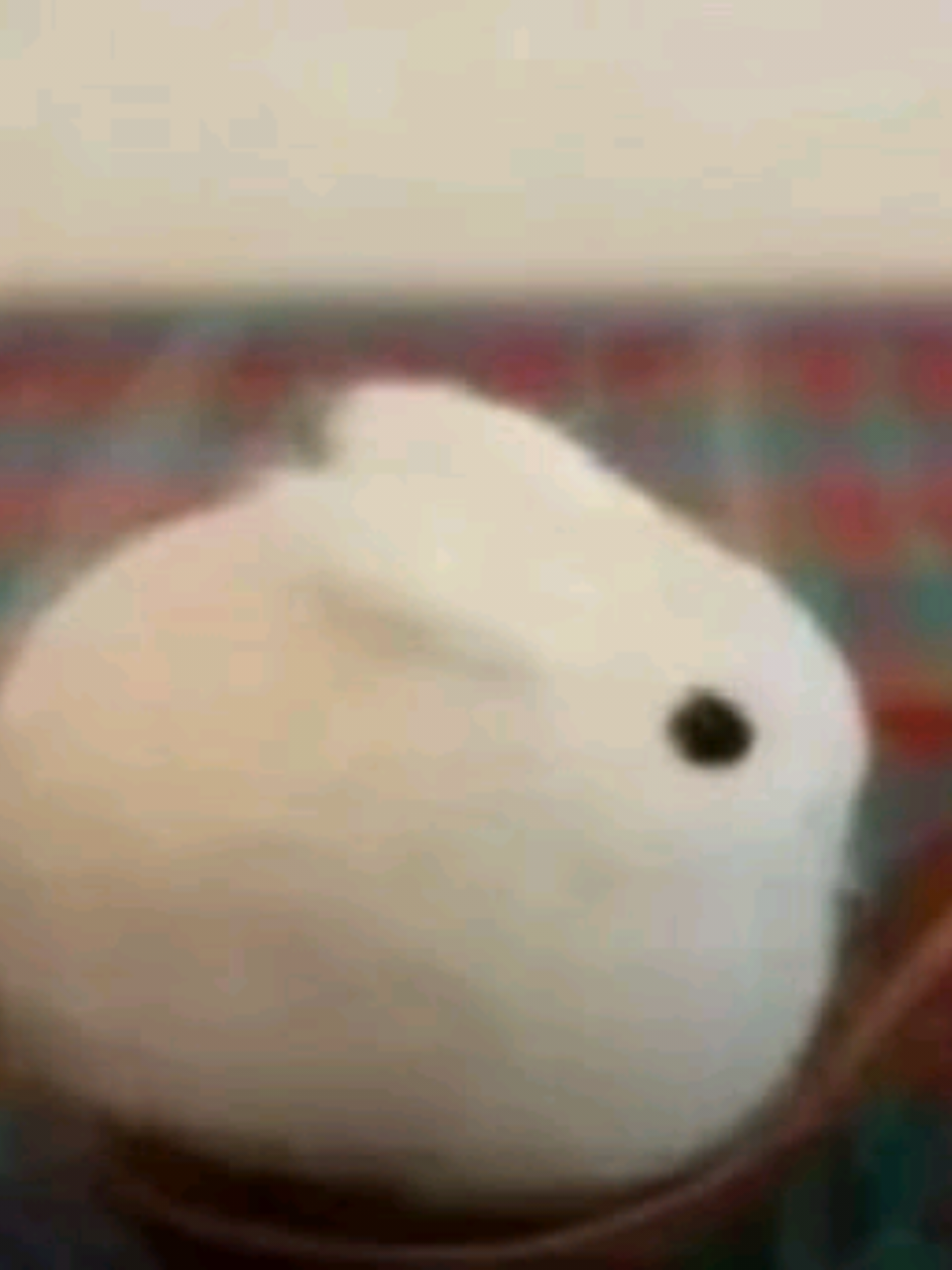 @᷼︵ׄ⌒ ✦ ! 𝑯𝖺𝗋𝗏𝖾𝗒🔔∘˙⊹