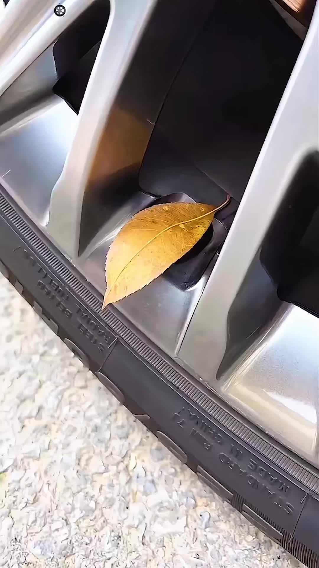 @mucindyfinds