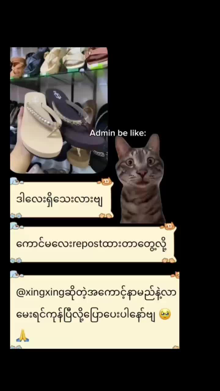 @𝗠𝗮𝗽𝗹𝗲 ဖိနပ်ဆိုင် (ပုသိမ်)