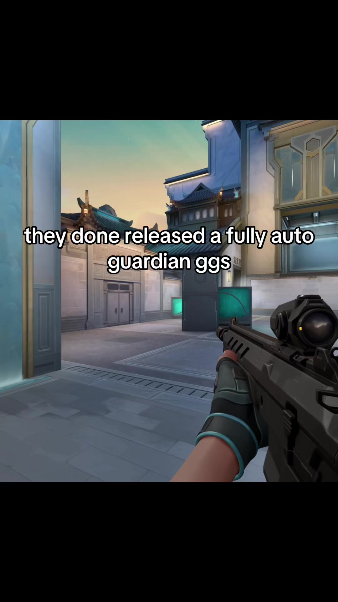 @warflez
