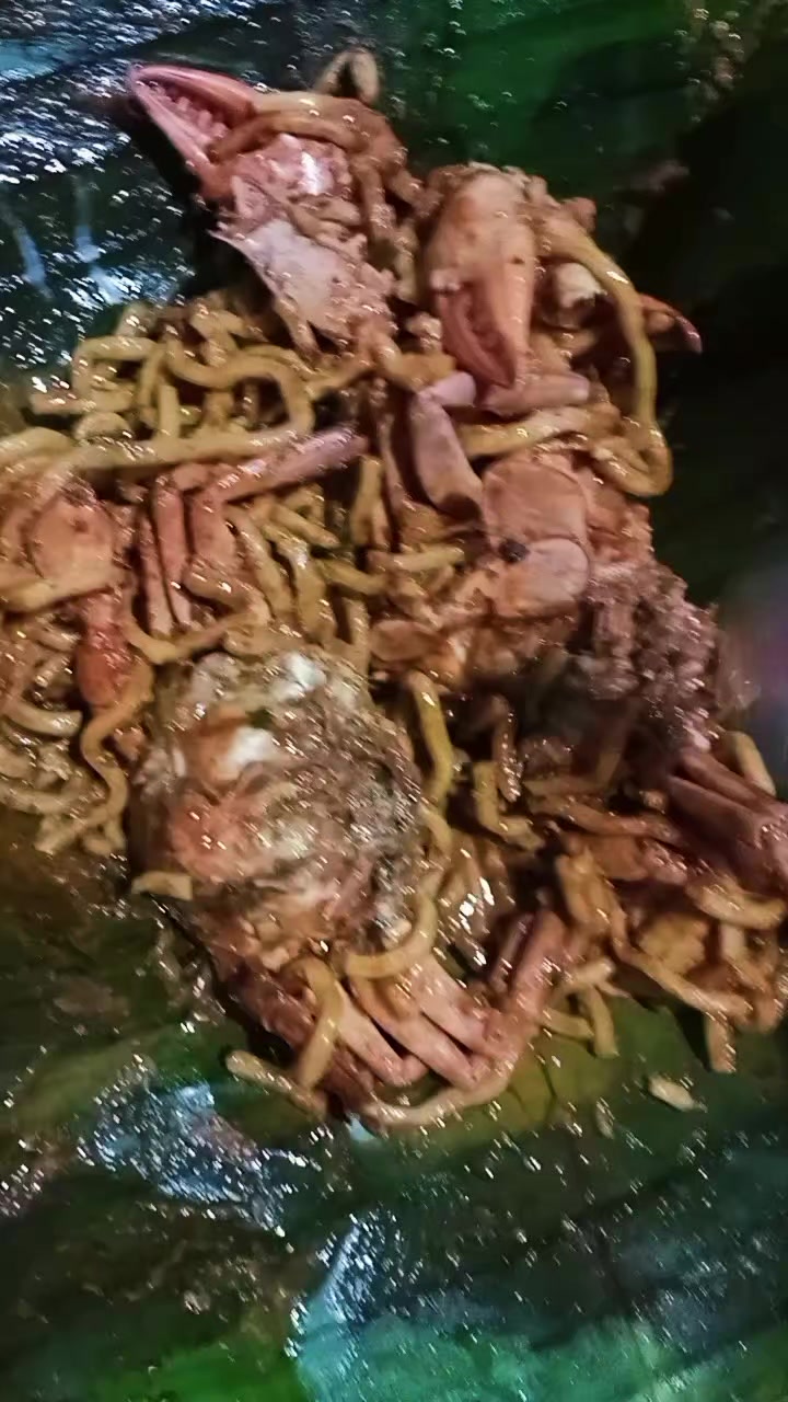 @user41932392399