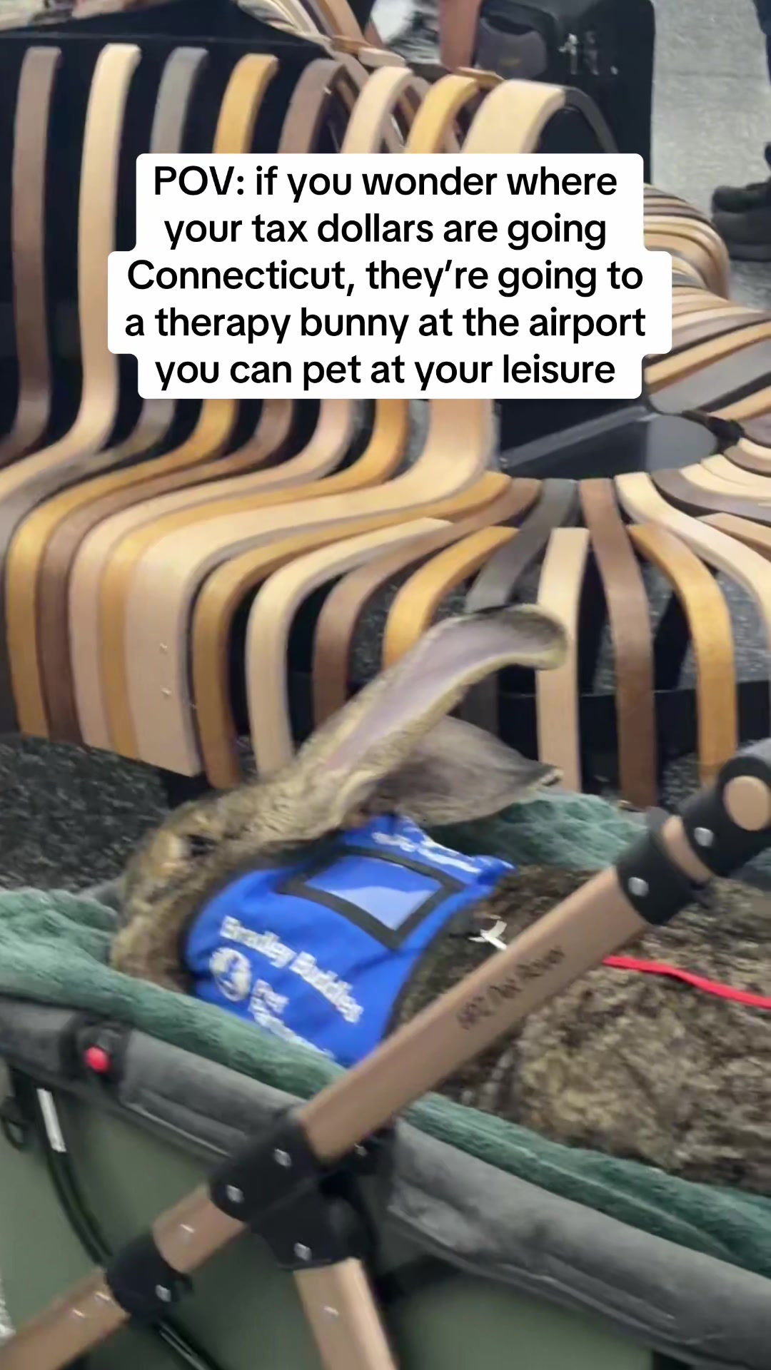 @Alexa Curtis