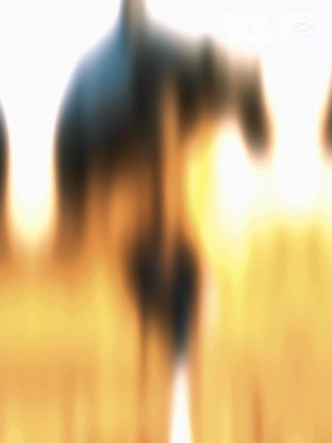 @༺𒋲Sultan❂༻