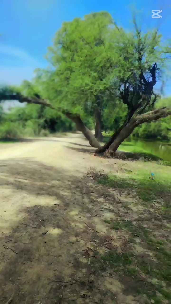 @حماد بھٹی
