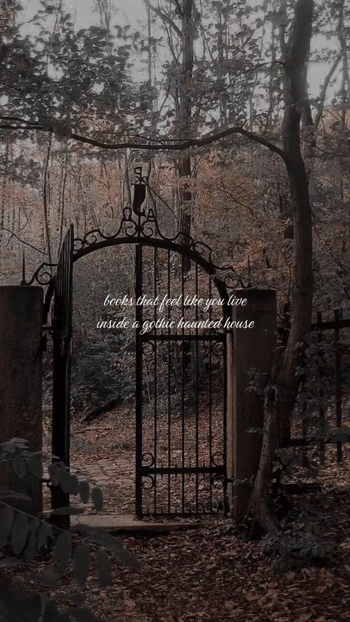 @IG/YT:bookishwitherin