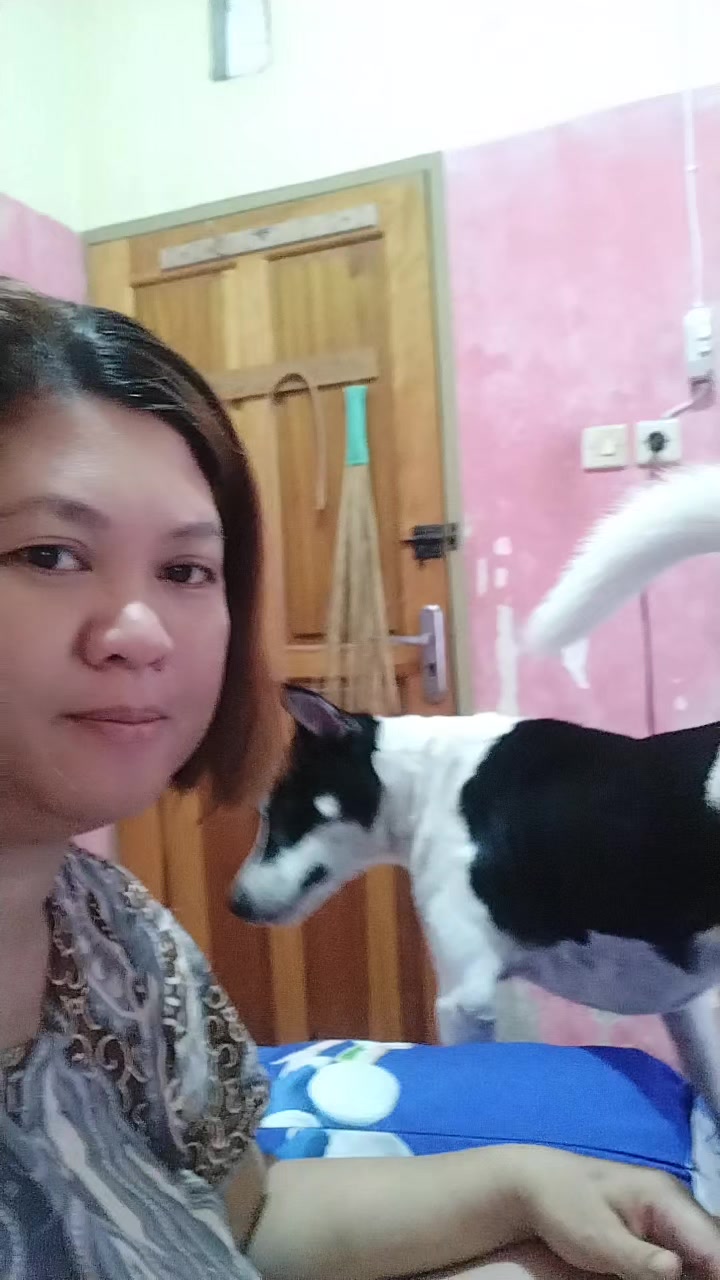 @vhyn