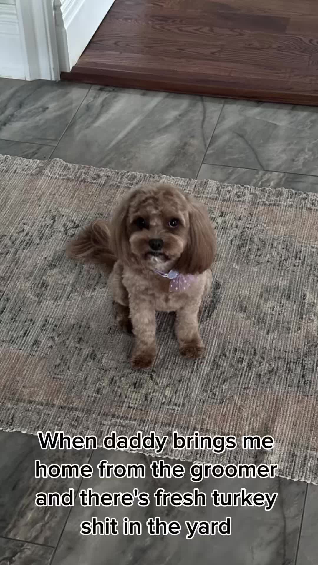@4GottenByChoice