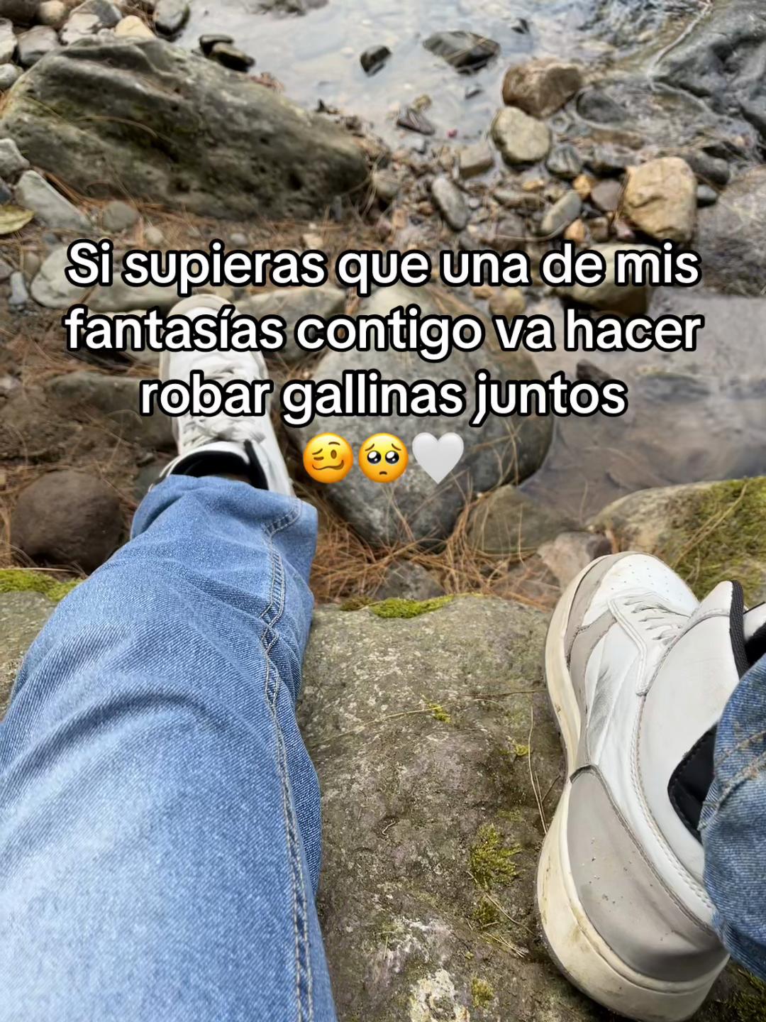@Gisben Roses 🥀