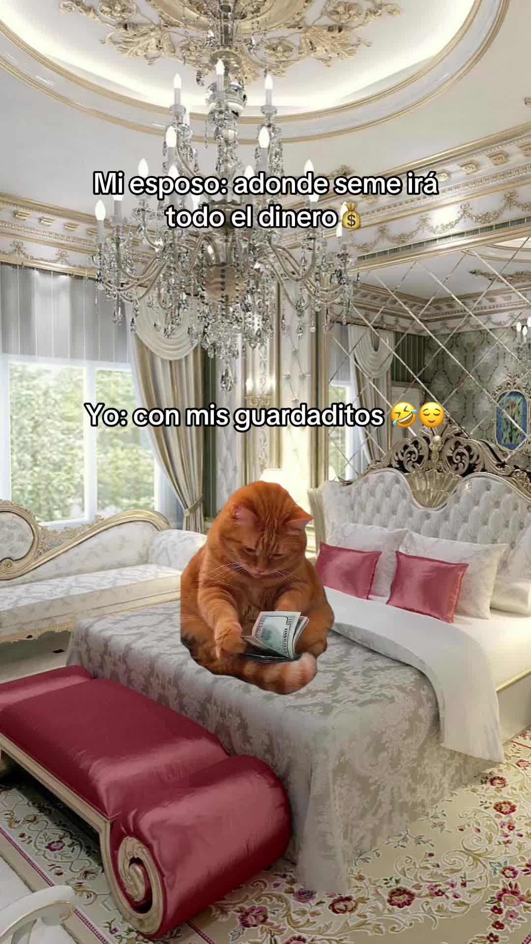 @Luzma1802