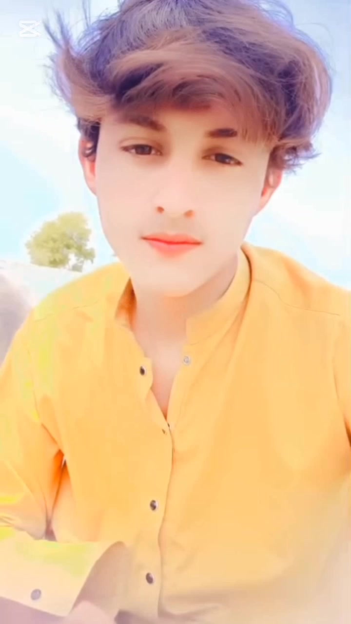 @wali gull 99
