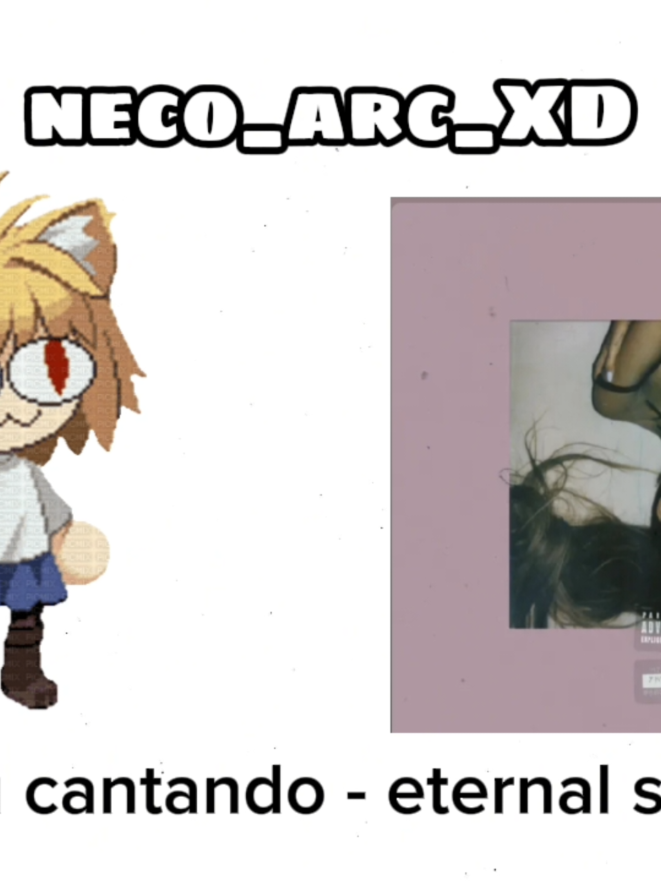 @neco_arc_XD