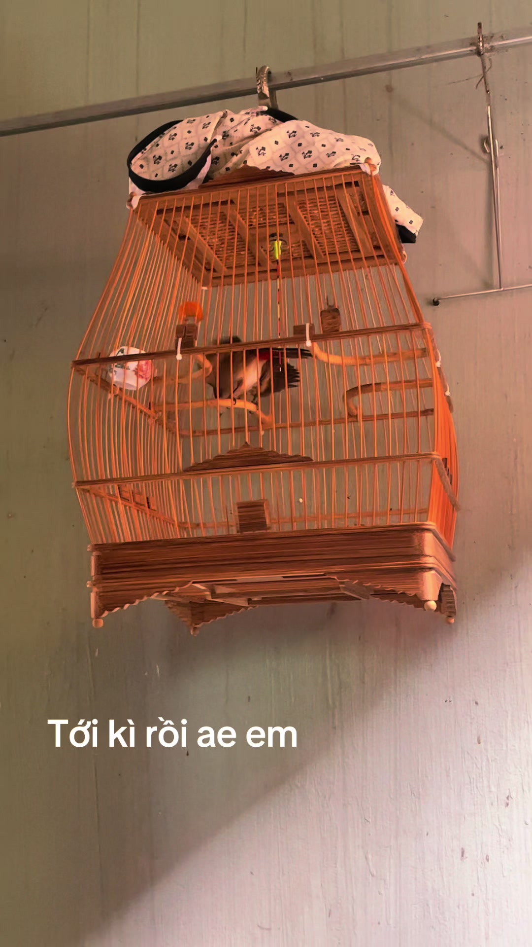 @Chaomaohaiduong34