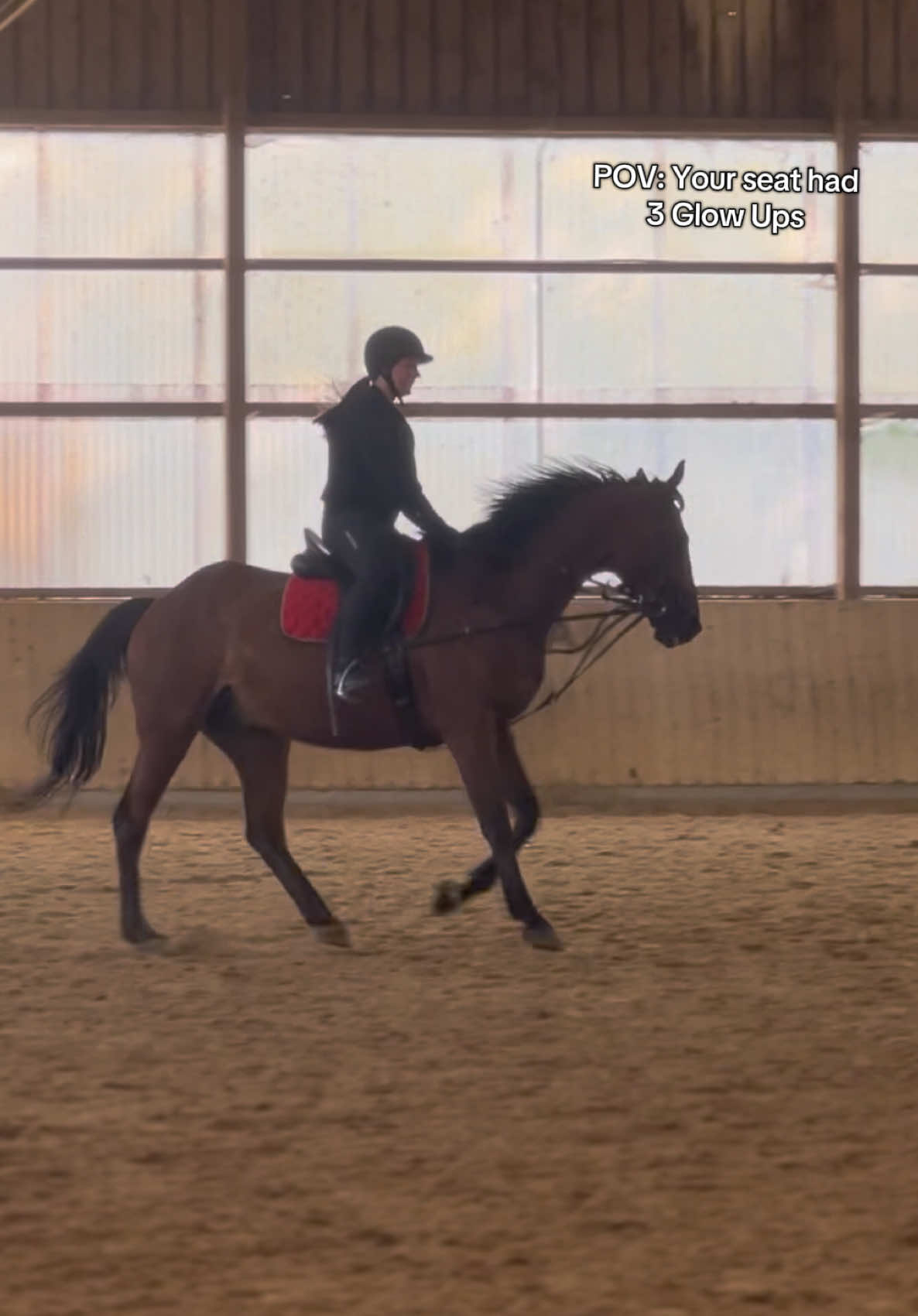@annalisa.equestrian