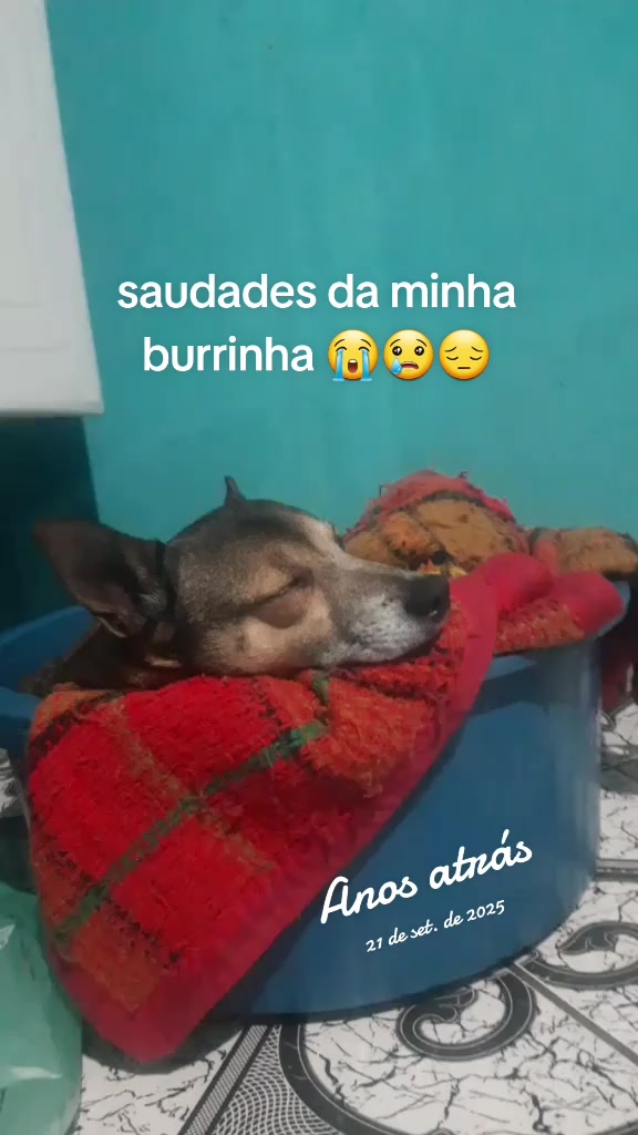 @José Wilson Rodrigues Barbosa