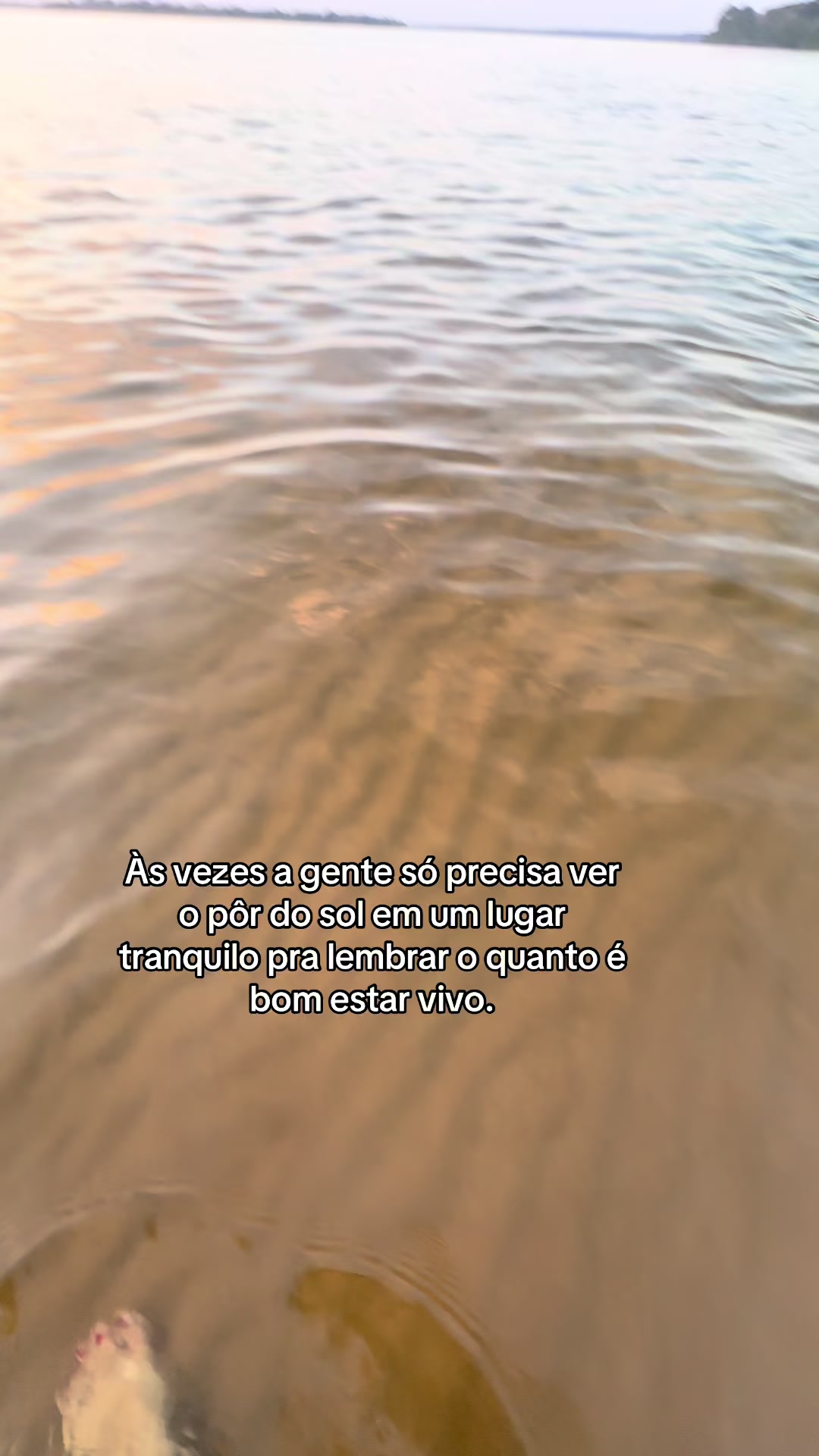 @Ana Paula Dias🌸