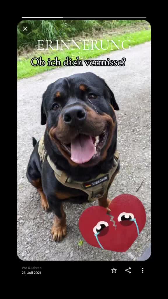@Nicole❤️Schröder🖤Kowalski ❤️