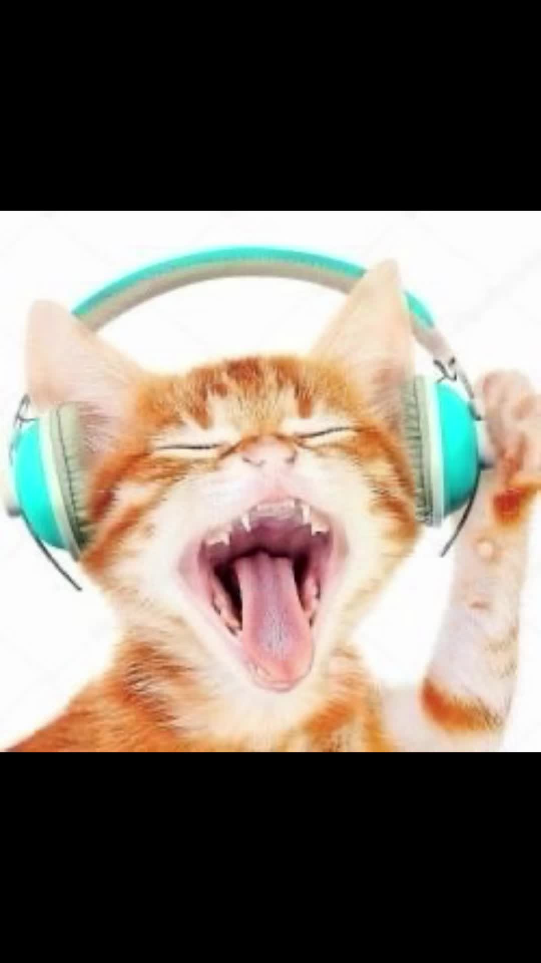 @secretforue