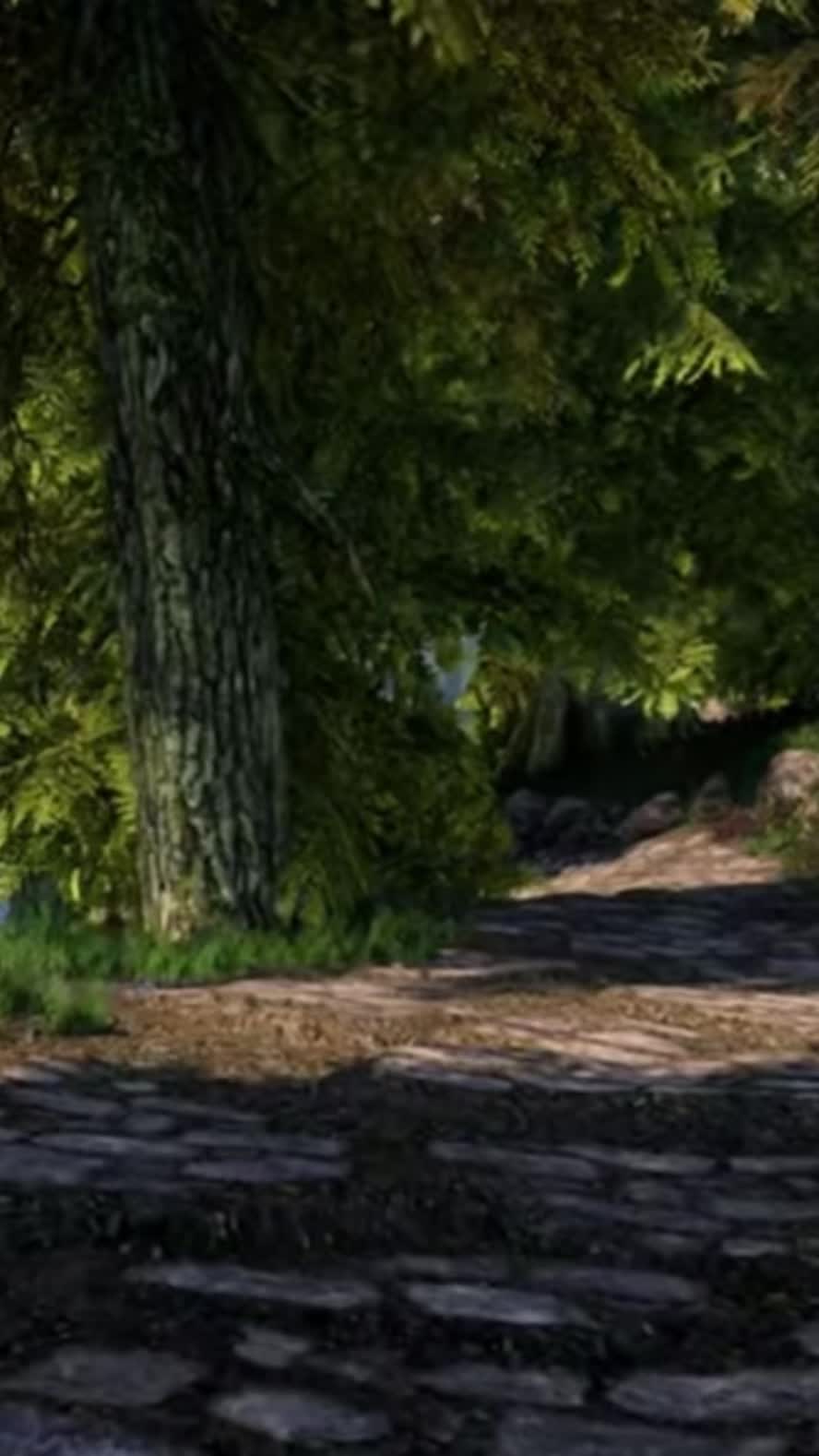 @Skyrim_ASMR