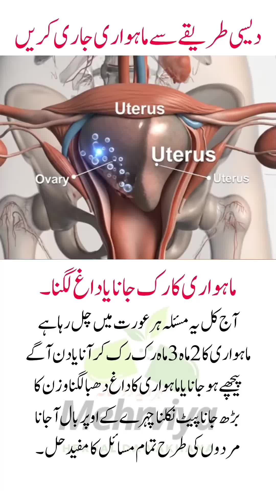 @Mehrviya Dawakhana Official