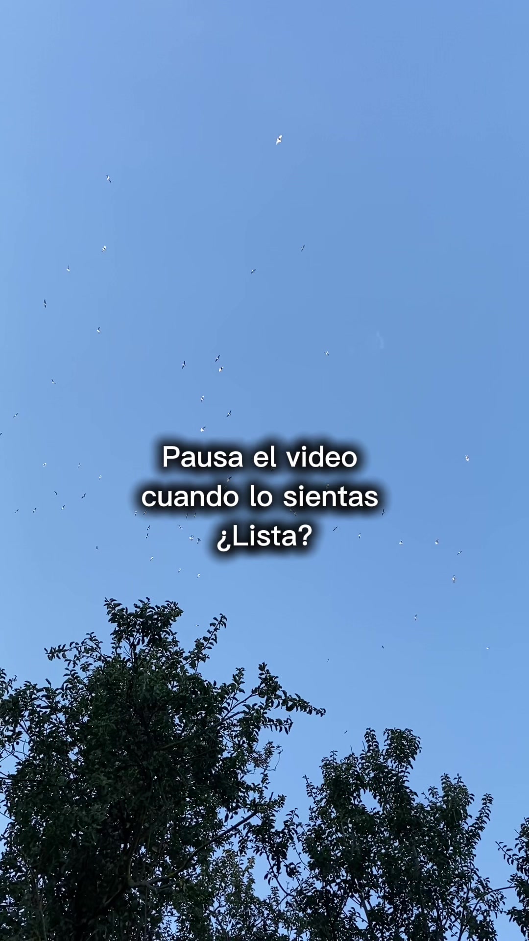 @Carolina Hinojosa