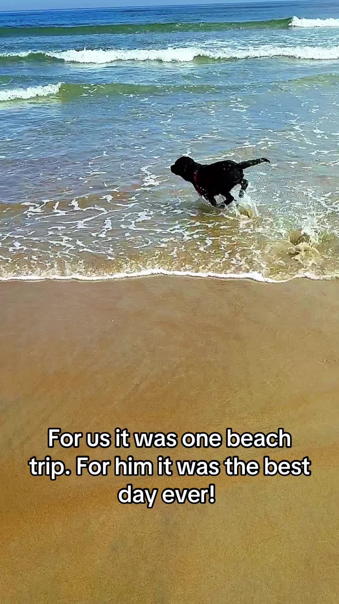 @DennisTheBlackLab