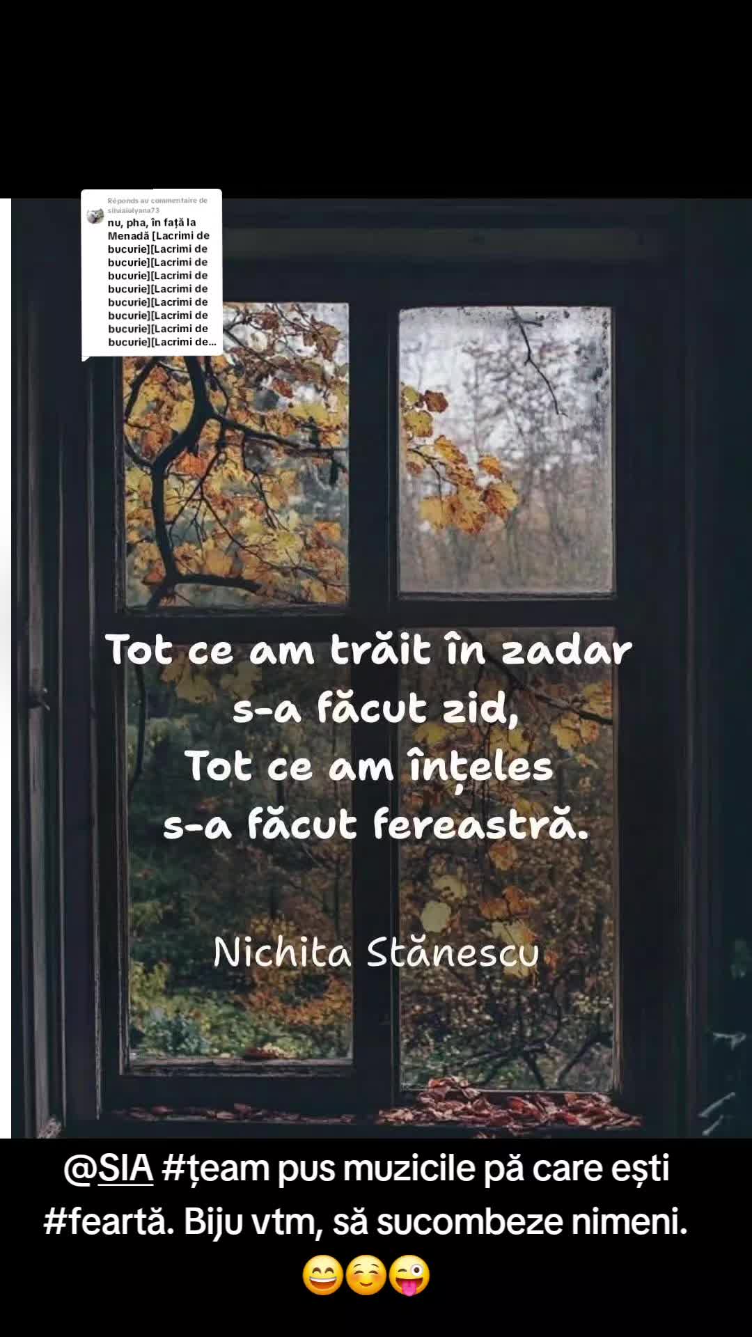@Raluca Teodora Filip