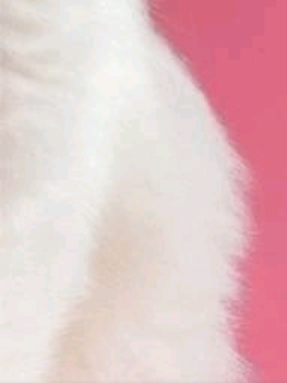 @νιяα.мυѕιᴄᥫ᭡