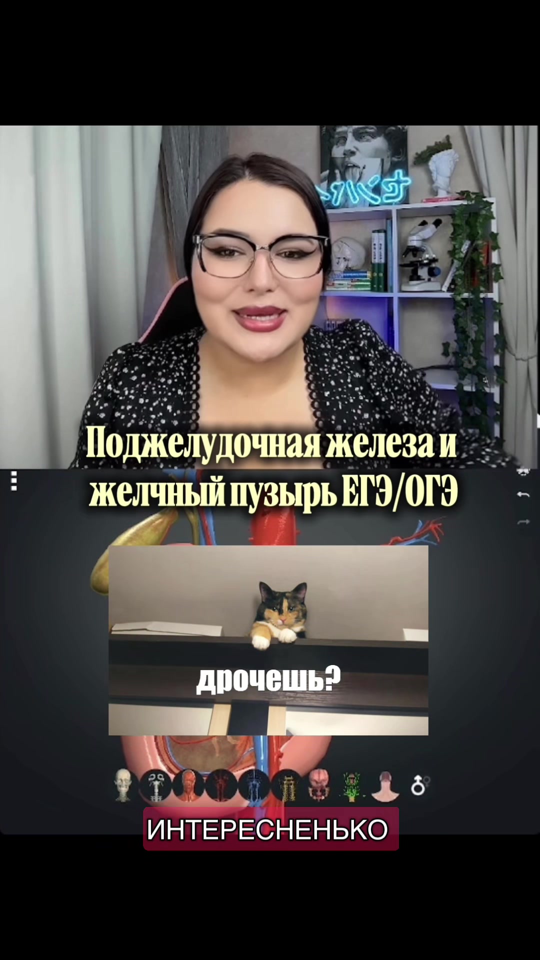@Тгк.Идочка Биологичка| БИО ЕГЭ