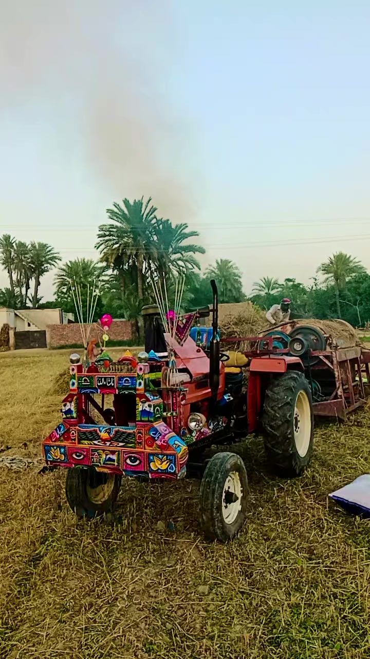 @tiktok.com/@falakshar3244